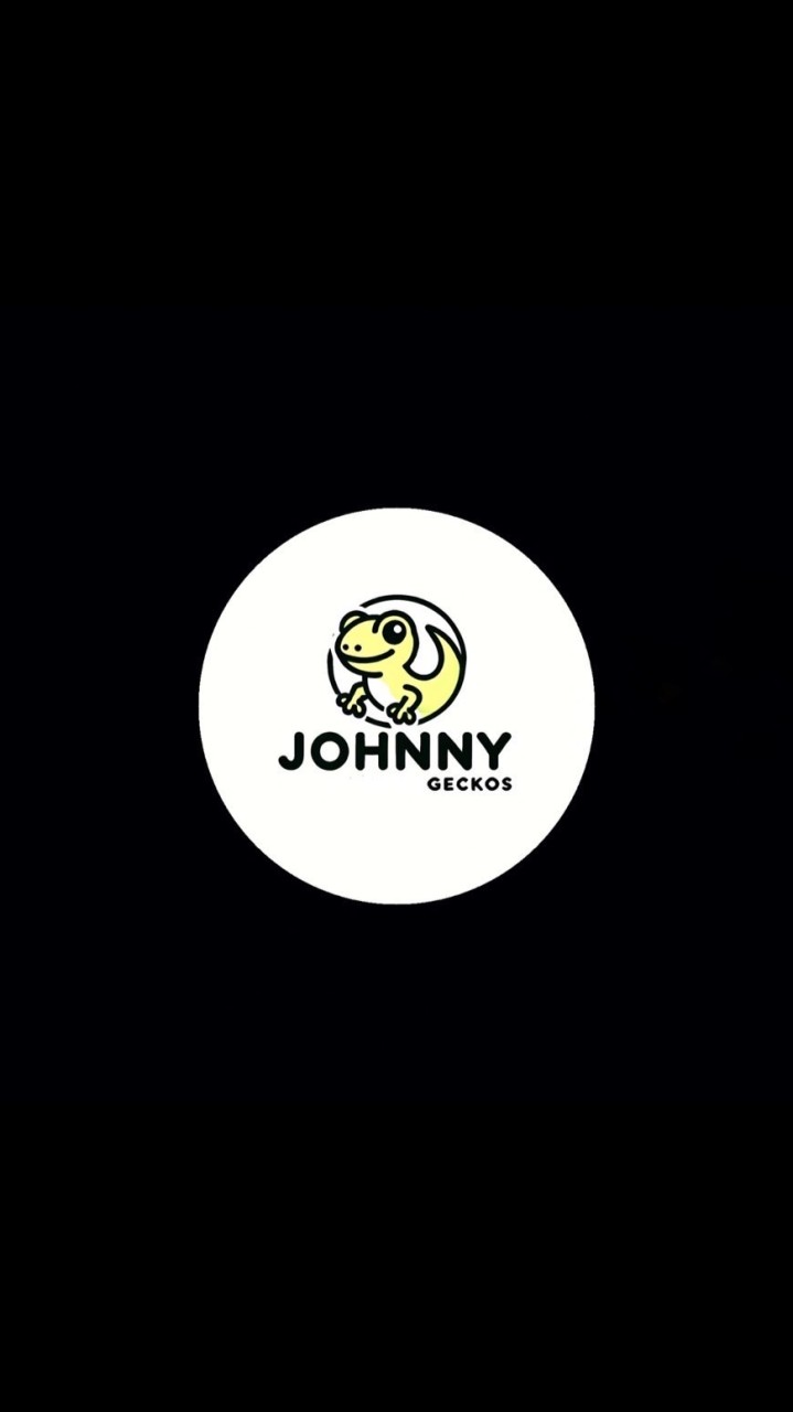 Johnny平價守宮