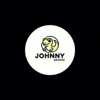 Johnny平價守宮