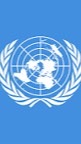 国際連合のオープンチャット