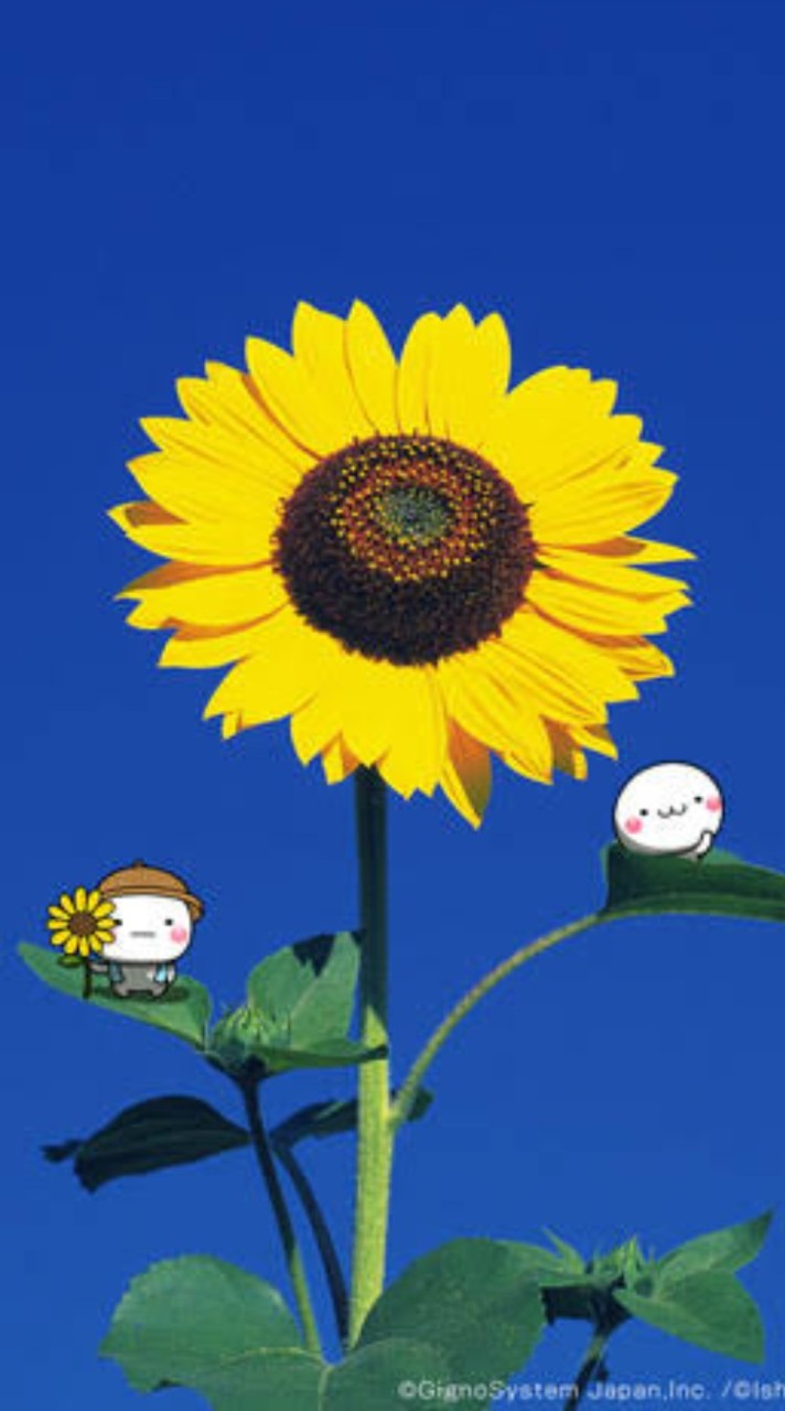 ~たのし荘~　同年代で雑談しよう部屋😄