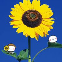 ~たのし荘~　同年代で雑談しよう部屋😄