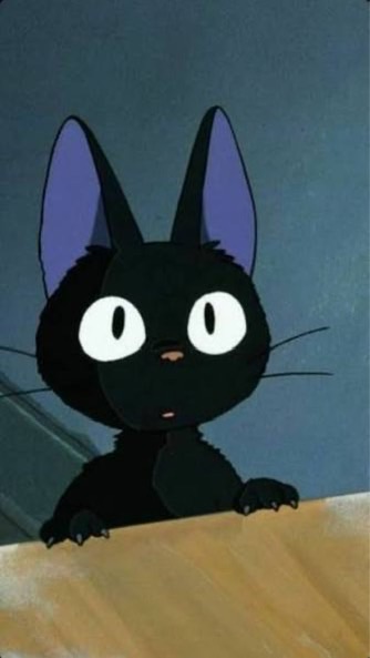 ROOC : Nyxcat