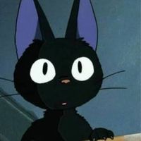 ROOC : Nyxcat