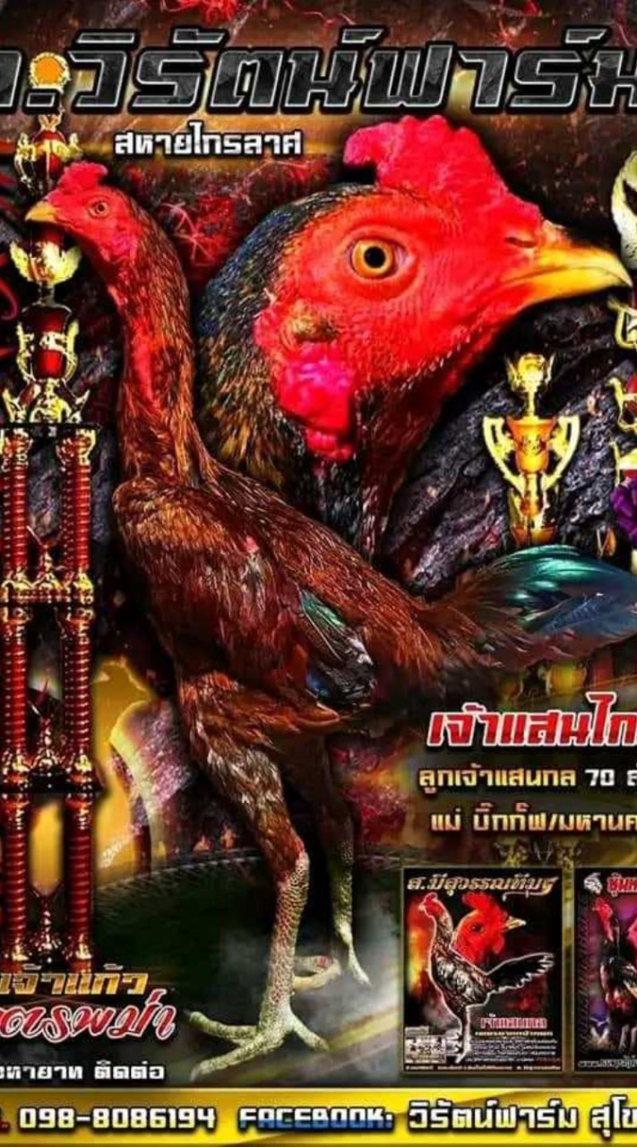 ว.วิรัตน์ฟาร์ม