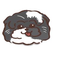 小芊日韓遊玩趣😺