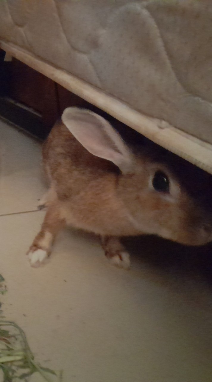 昱虹手創館