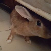 昱虹手創館