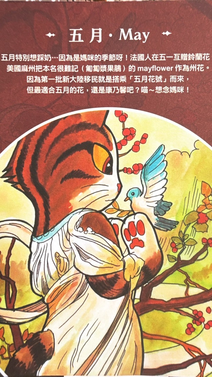 05／29緩慢荷比法雙點進出12日