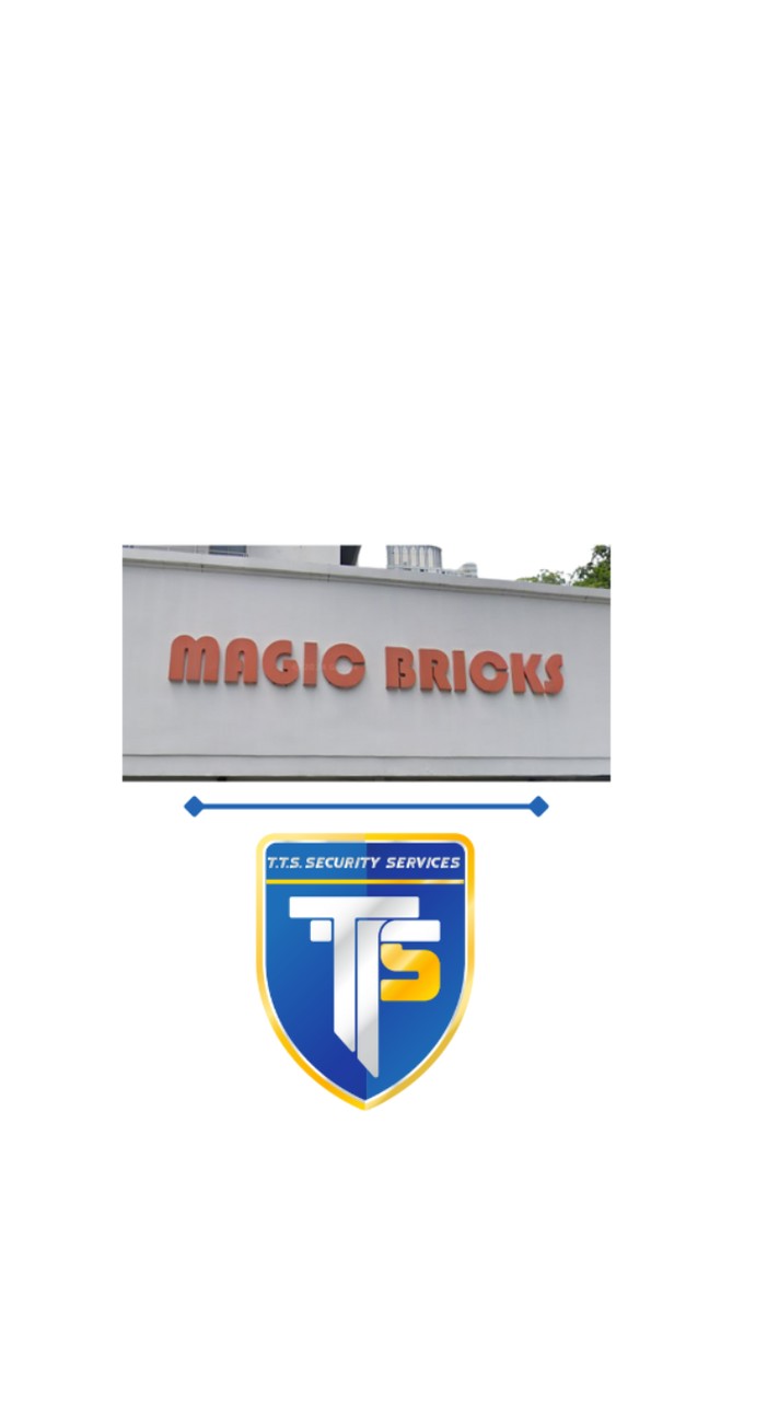 เมจิก บริคส์ & TTS