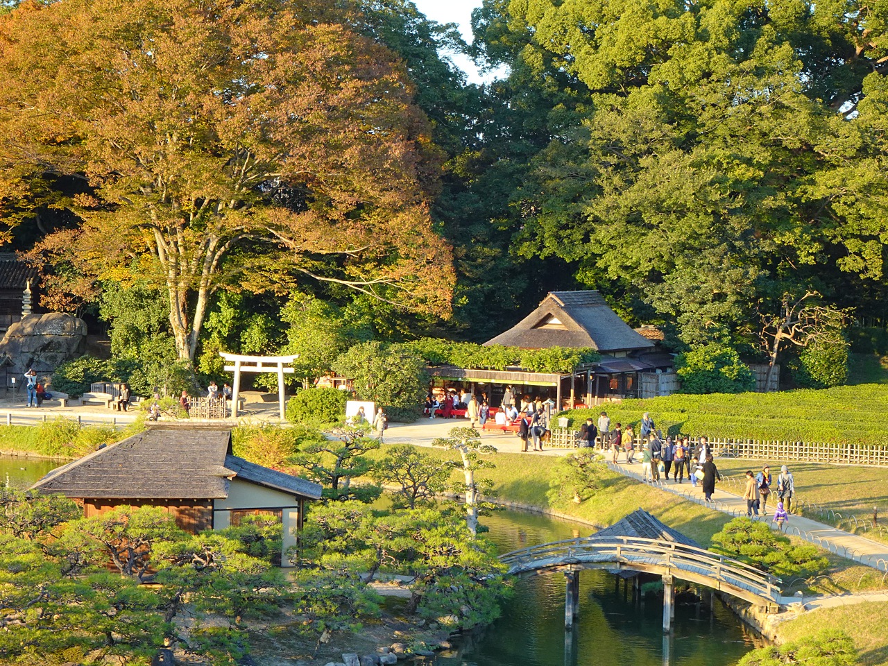 世界最輕巧，28 倍變焦的掌中長砲 Sony DSC-HX99 實拍評測