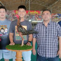 ซุ้ม เทพมังกรทอง