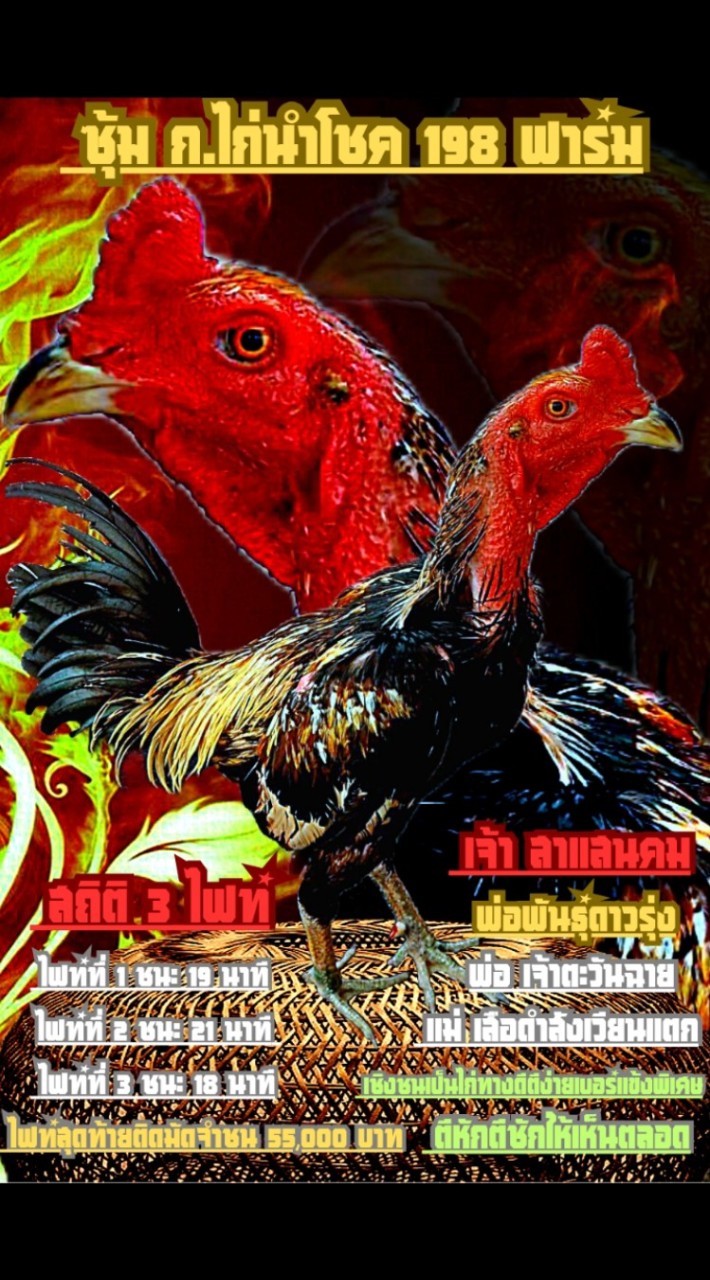 ซุ้ม ก.ไก่นำโชค 198 ฟาร์ม