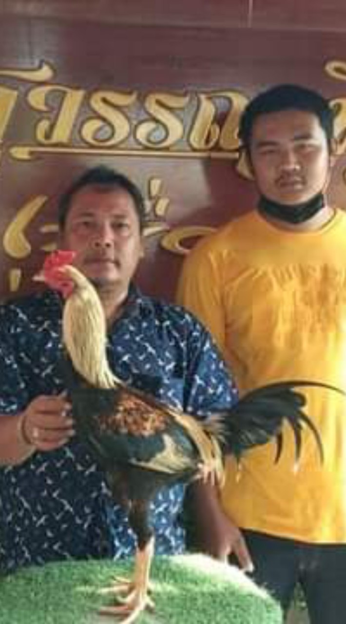ซุ้ม นิวหมูบิน
