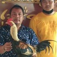 ซุ้ม นิวหมูบิน