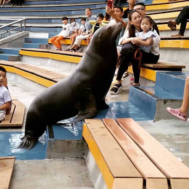 照片來源：IG @angela_tzu_hsuan_