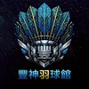 豐神羽球館 暢打團