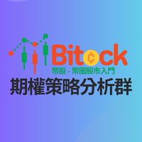 Bitock 幣股 - 期權策略分析群
