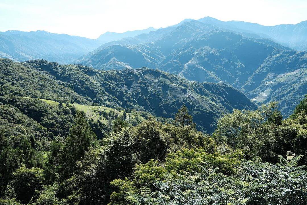 全台天空步道｜體驗在空中漫步的刺激感，飽覽不受遮擋的美麗山海景觀