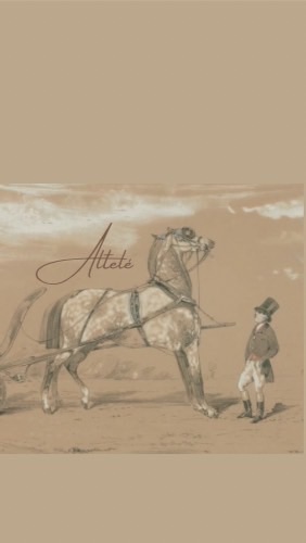 Attlelé 🐎Hermès精品代購