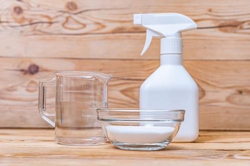 厄介なアブラムシはこれでイチコロ 薬剤を使うより安全で効果的な アレ を使った 驚きの駆除方法 とは オリーブオイルをひとまわしニュース