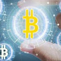 Naga Crypto Hunter