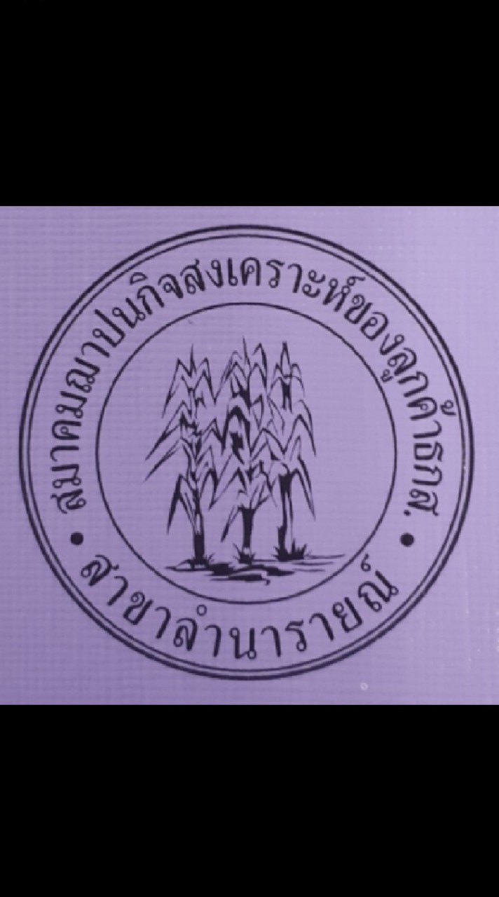 สมาคมฌาปนกิจสงเคราะห์ลูกค้า ธกส.ลำนารายณ์