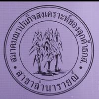 สมาคมฌาปนกิจสงเคราะห์ลูกค้า ธกส.ลำนารายณ์