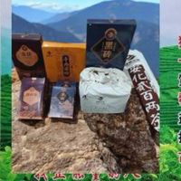 St金花黑茶資料庫