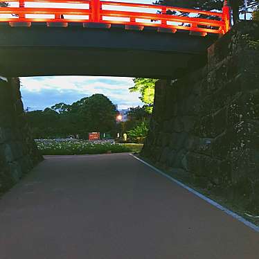 実際訪問したユーザーが直接撮影して投稿した城内公園小田原城址公園の写真