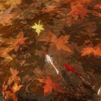出禁のモグラ 也.
