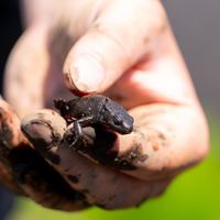 第2回田んぼの教室