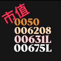 市值加權ETF 0050、006208、00646、VT 交流群