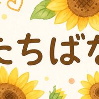 大きいひまわり🌻