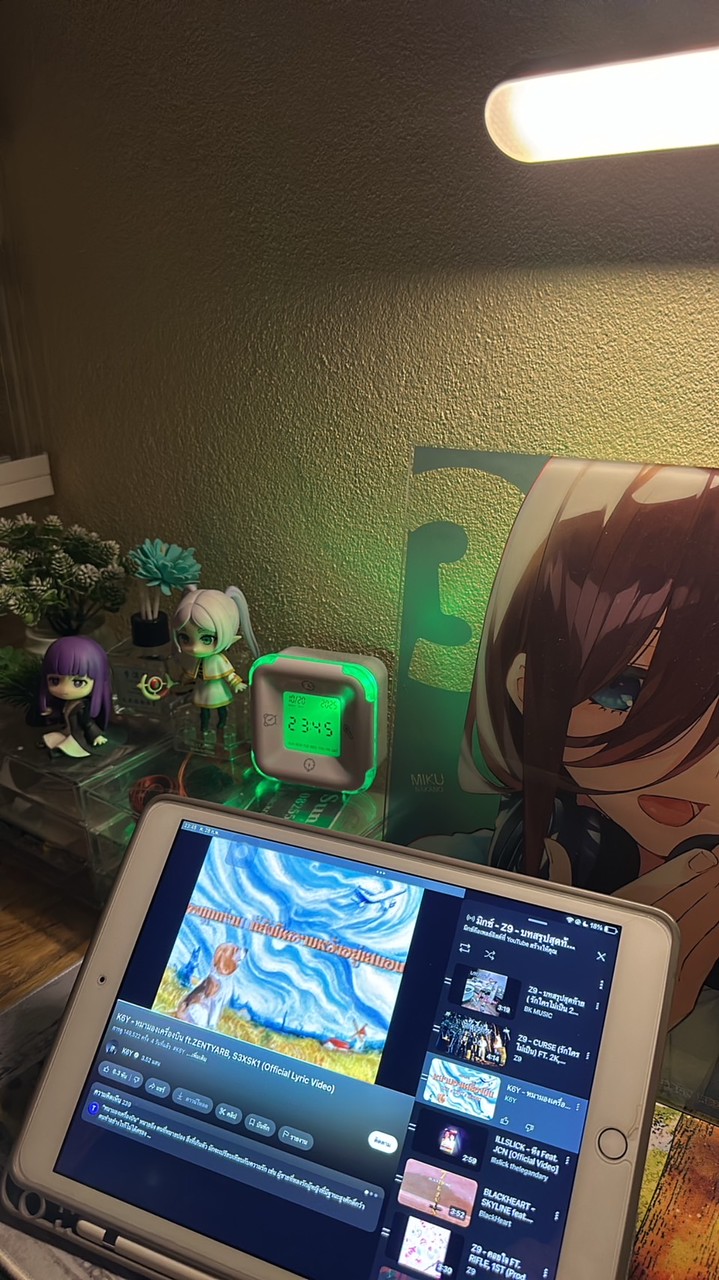 ร้าน Blackriseanimestore