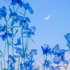 恋の方程式を解読せよ！／HQ半緩ハント！