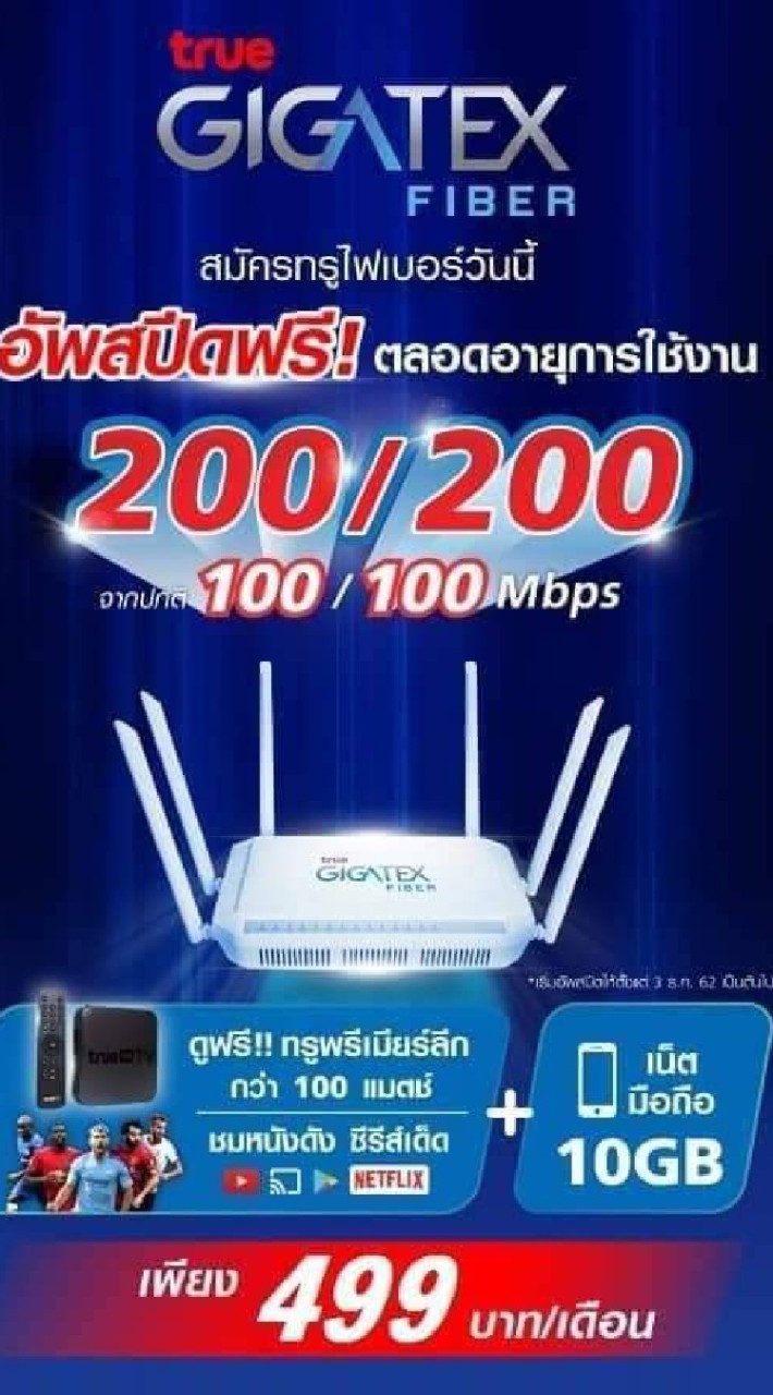 True fiber
