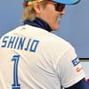 北海道日本ハムファイターズ応援