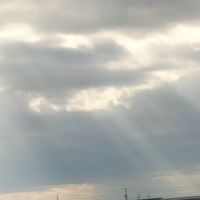 イラスト部！（多様性）