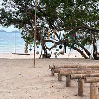 Young รักษ์ทะเล รุ่นที่ 1 : 14-17 สิงหาคม 2569