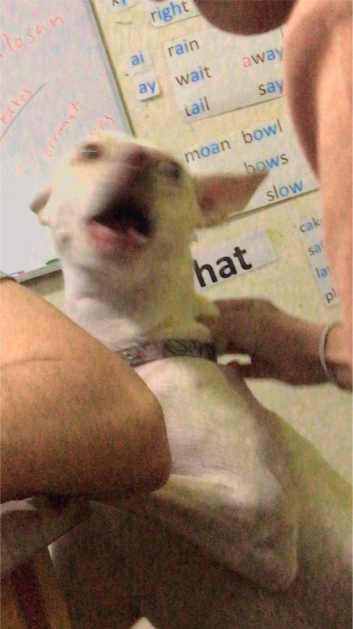 ….