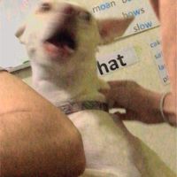 ….