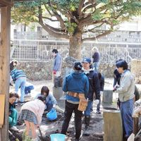 コミュニティ真鶴　中庭再生プロジェクト