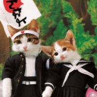 🌹愛知40代50代60代平日遊び隊🌹