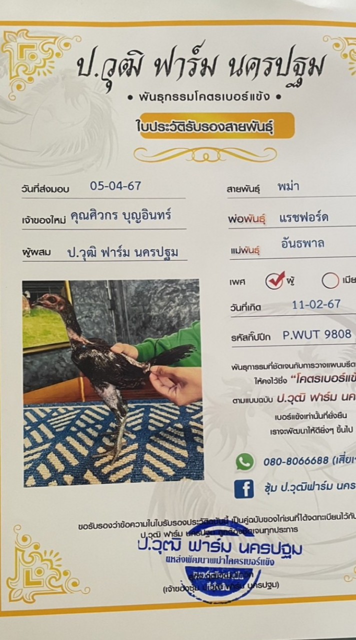 น.ประตูน้ำ สายเลือดดีๆ