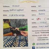 น.ประตูน้ำ สายเลือดดีๆ