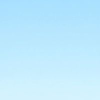 トレカニュース