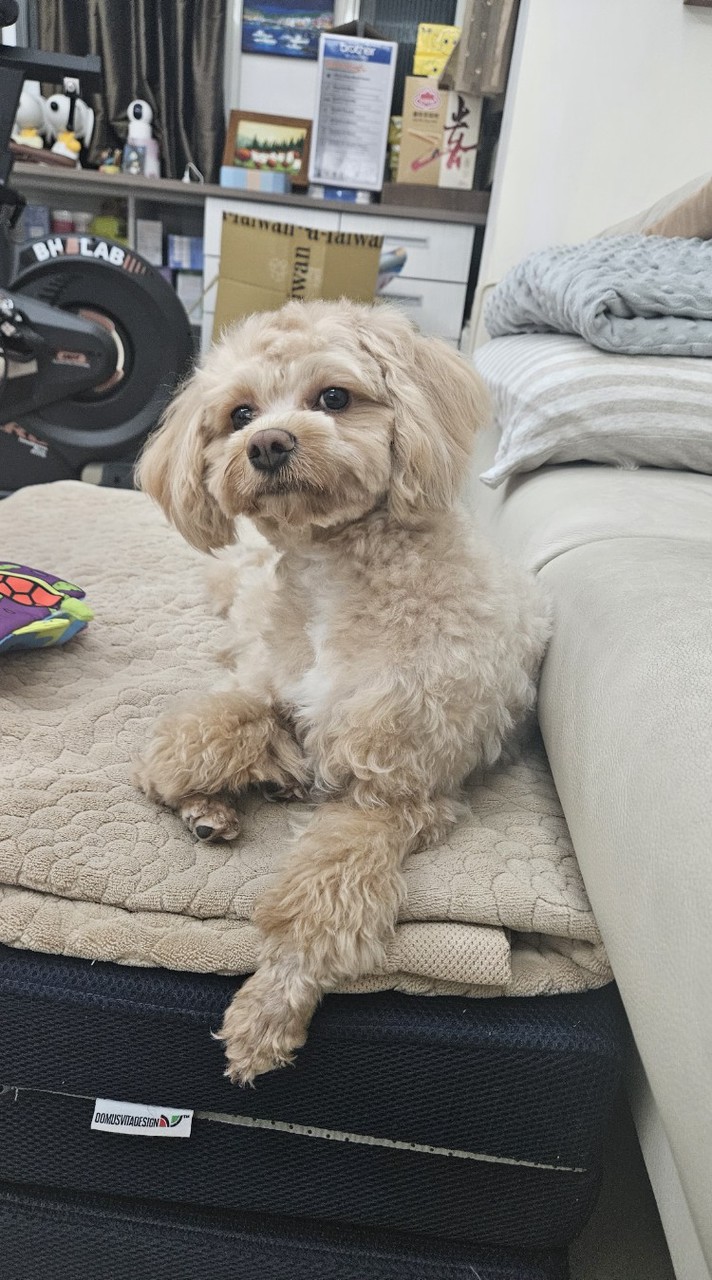 MayMayMay