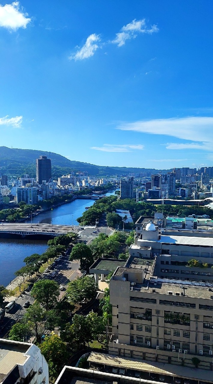 新橘貓2.0