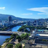 新橘貓2.0