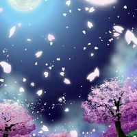 ✨💮ซากุระพร้อมร่วงโรย💮~Roplay~✨